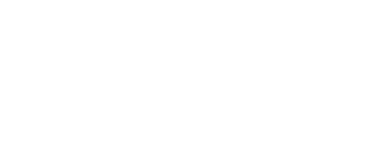 NemNet