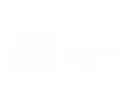 TDC Erhverv